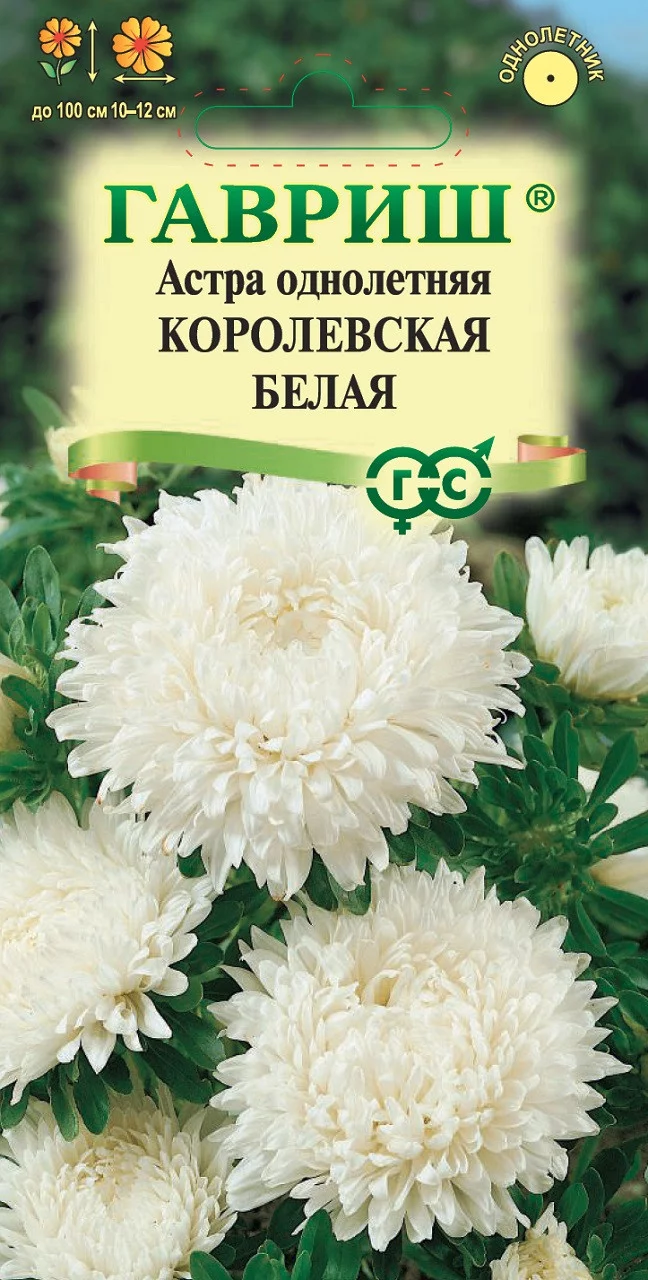 Астра Королевская белая, однолетняя (пионовидная) 0,3 г