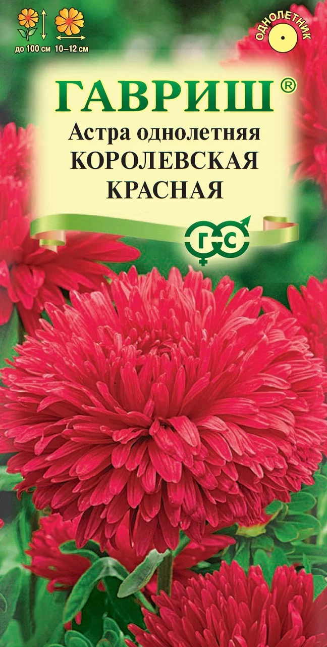 Астра Королевская красная, однолетняя (пионовидная) 0,3 г