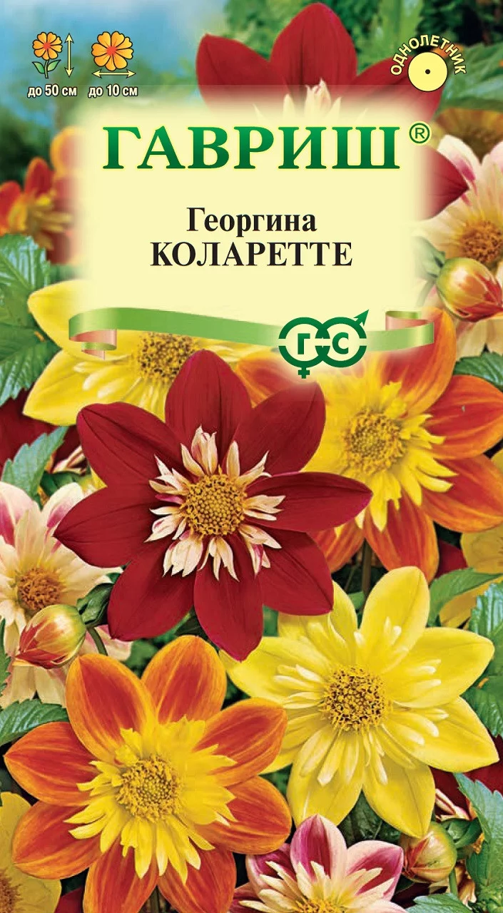 Георгина Коларетте 0,2 г