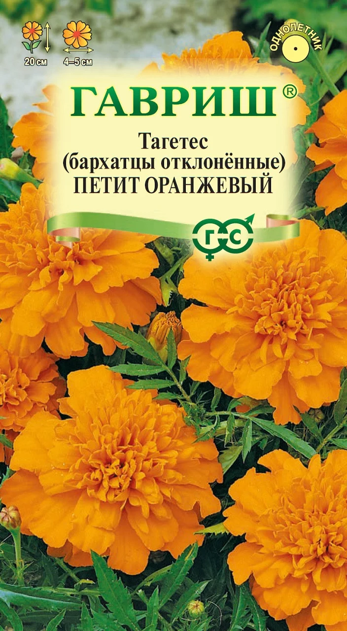 Бархатцы откл. Петит оранжевый (Тагетес) 0,3 г