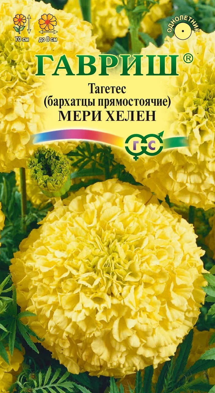 Бархатцы пр. Мери Хелен (Тагетес) 0,3 г