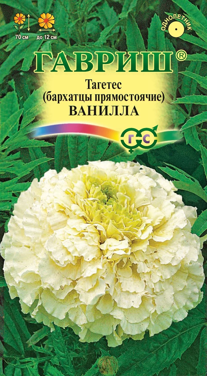 Бархатцы пр. Ванилла (Тагетес) 0,05 г