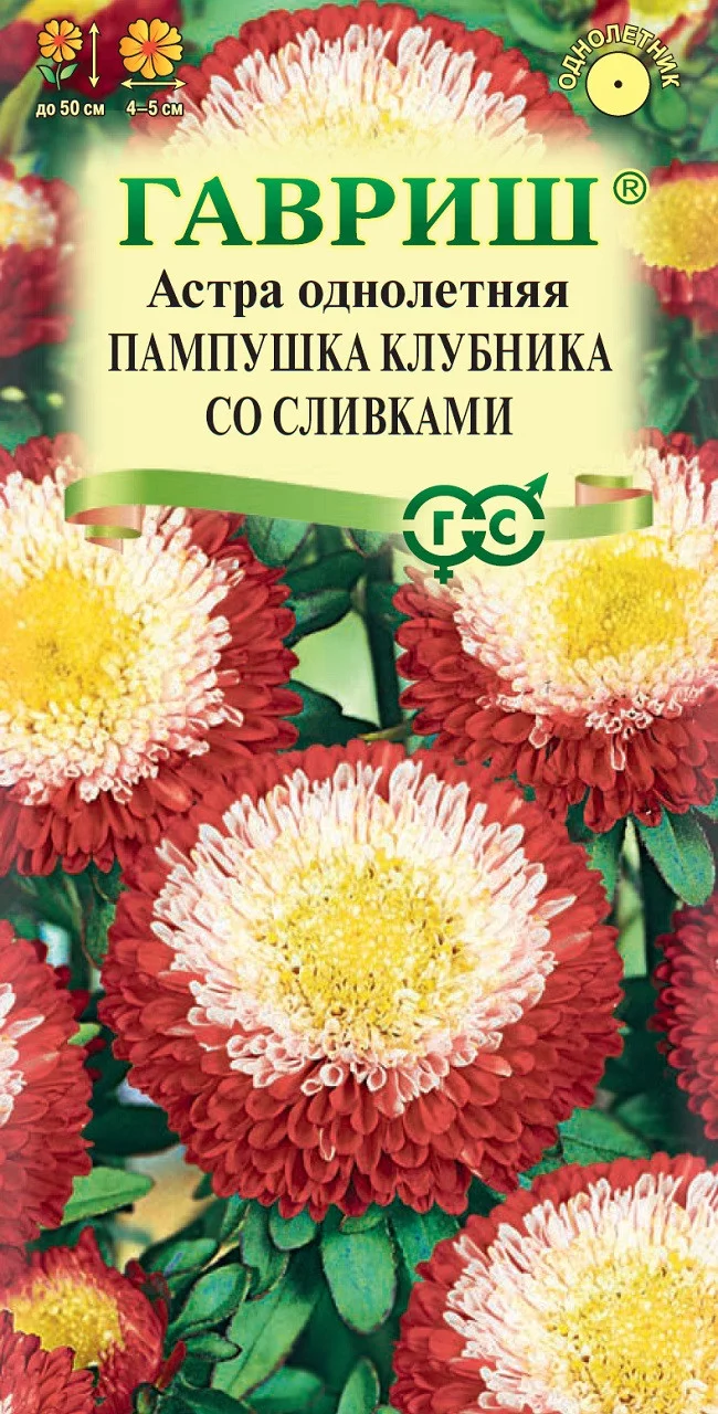 Астра Пампушка клубника со сливками, однолетняя (помпонная) 0,3 г