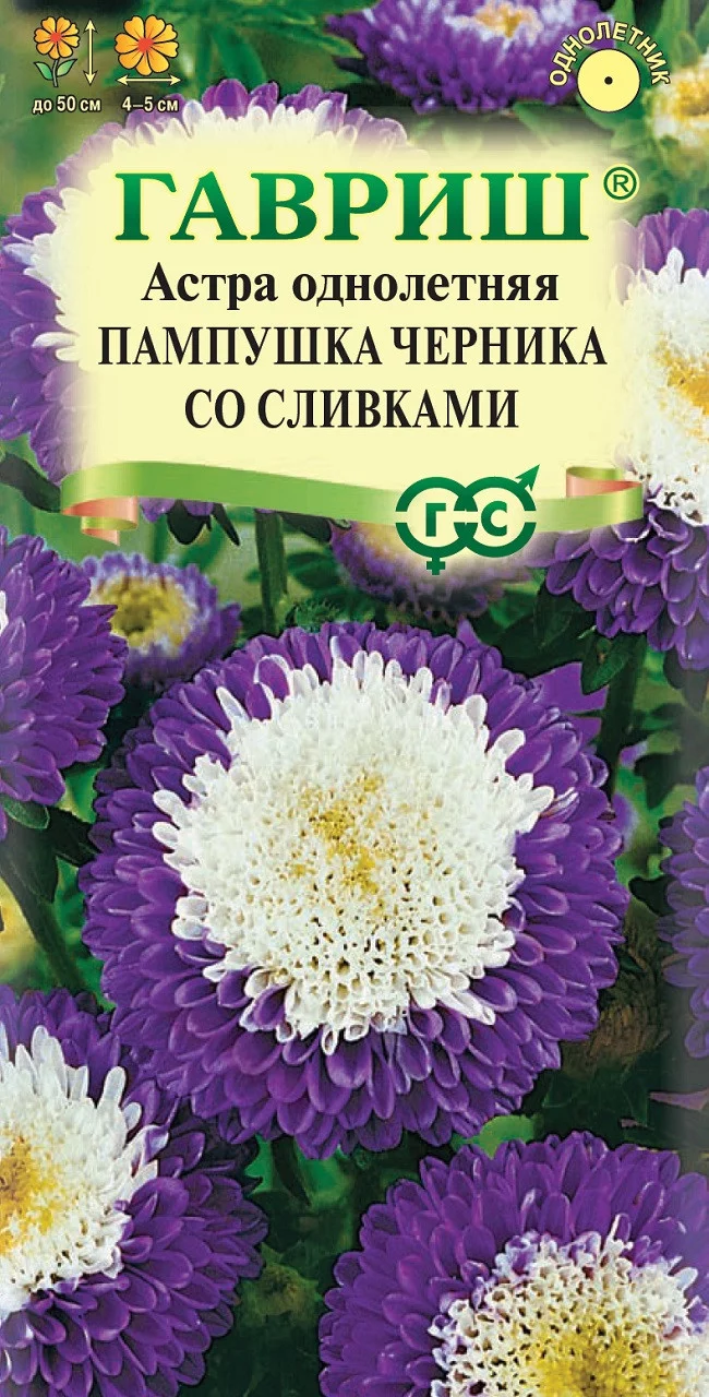 Астра Пампушка черника со сливками, однолетняя (помпонная) 0,3 г