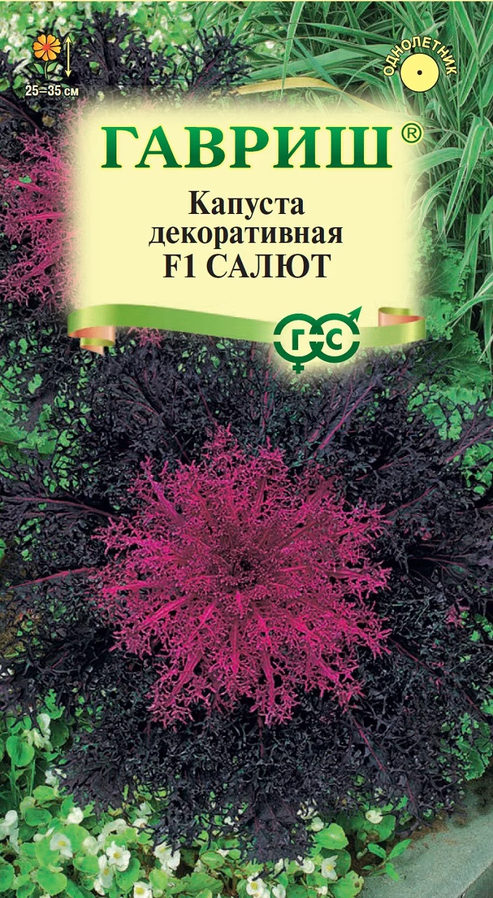 Капуста декоративная Салют F1* 6 шт