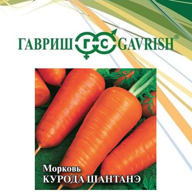 Морковь Курода Шантанэ 2 г
