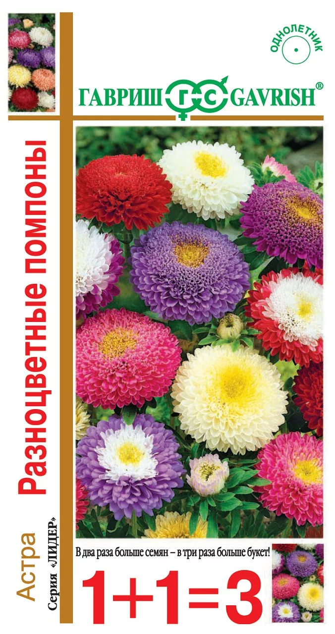 Астра Разноцветные помпоны, однолетняя (смесь) 0,6 г серия 1+1