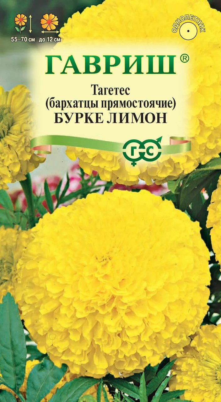 Бархатцы пр. Бурке Лимон (Тагетес) 0,3 г