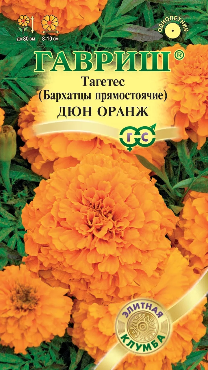 Бархатцы пр. Дюн Оранж (Тагетес)* 10 шт серия Элитная клумба