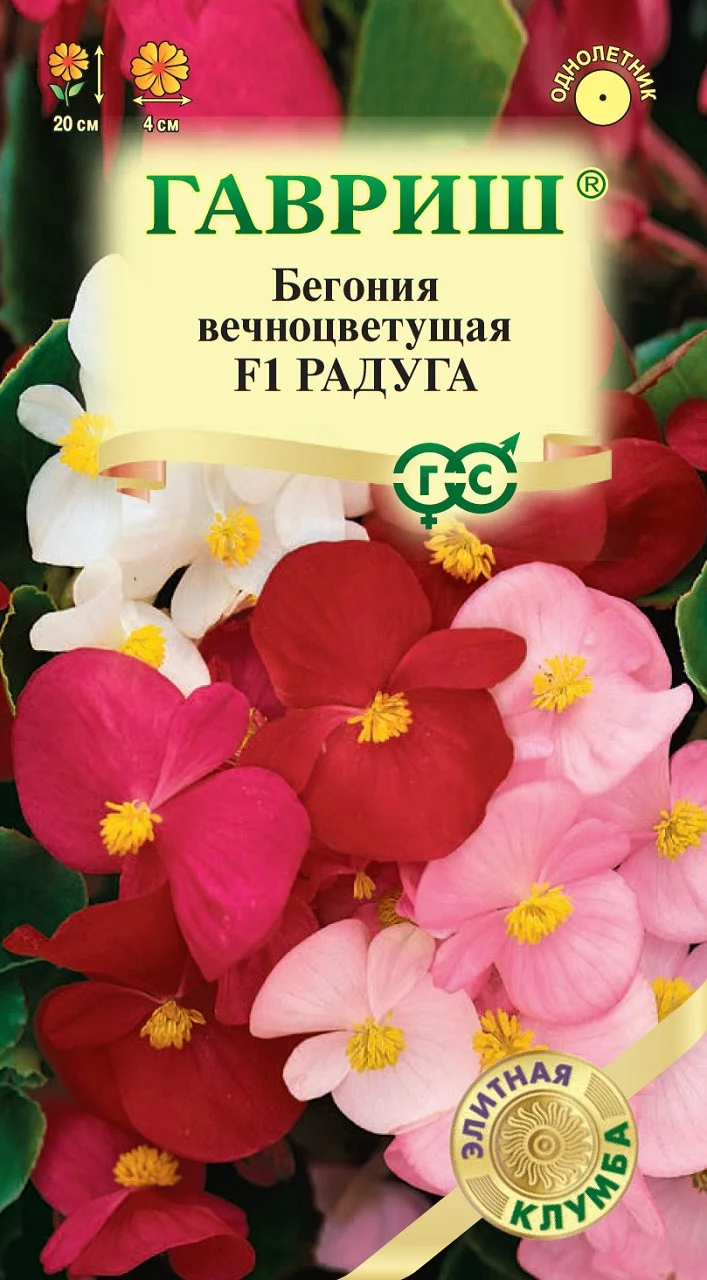 Бегония Радуга F1 вечноцв. смесь, гранул.7 шт пробирка