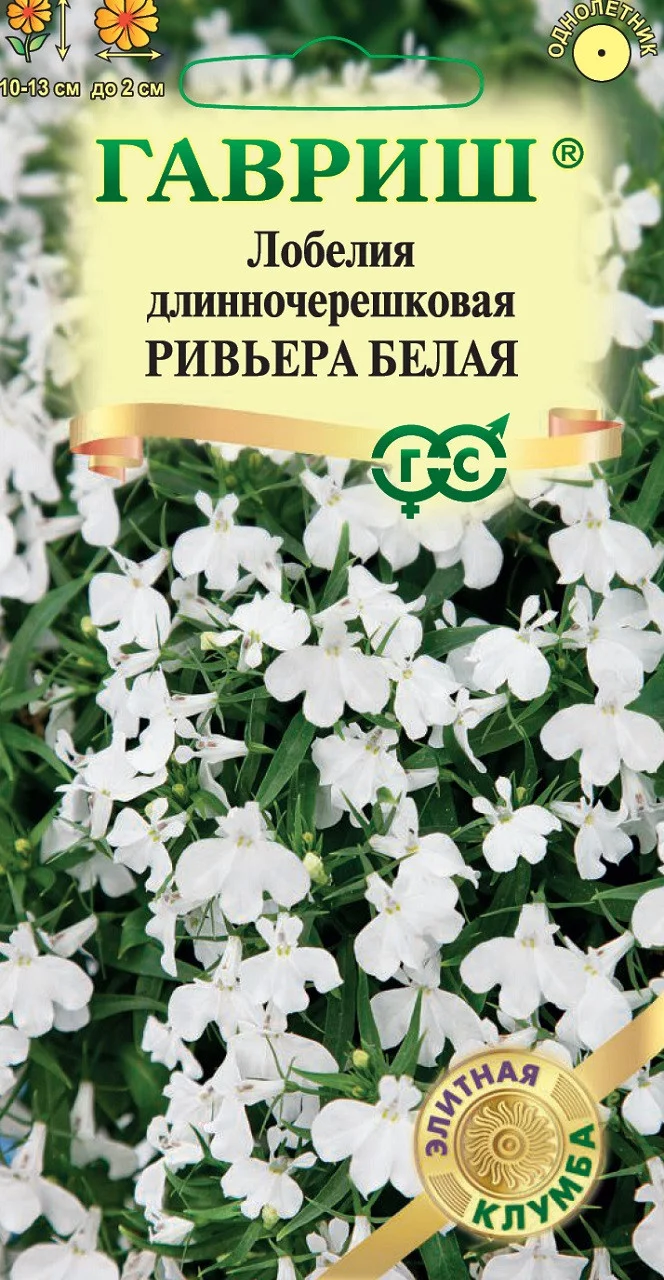 Лобелия Ривьера Белая 4 шт пробирка сер. Элитная клумба