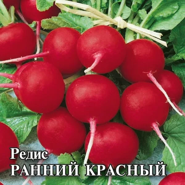 Редис Урожайный ранний 3 г с евроотв