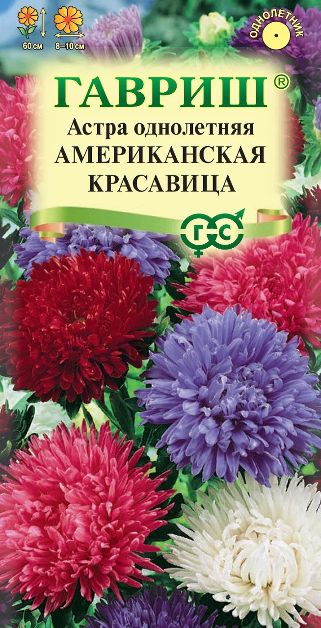 Астра Американская красавица, однолетняя (смесь) густомахровая 0,1 г