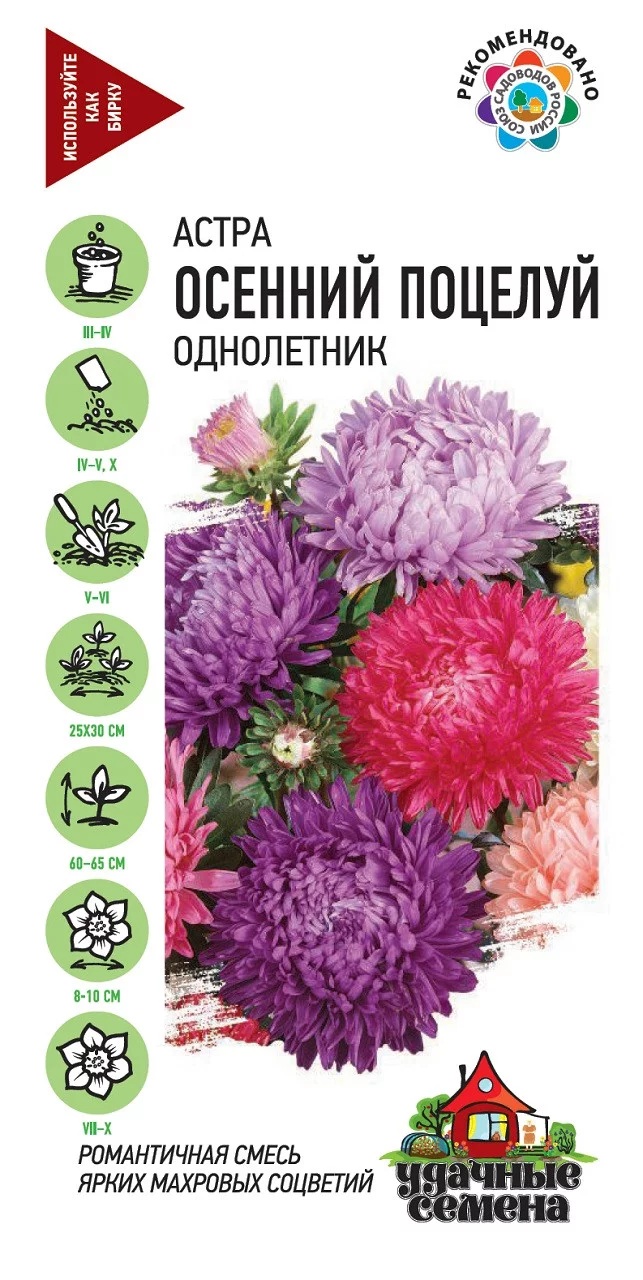 Астра Осенний поцелуй, однолетняя (махровая) смесь 0,1 г