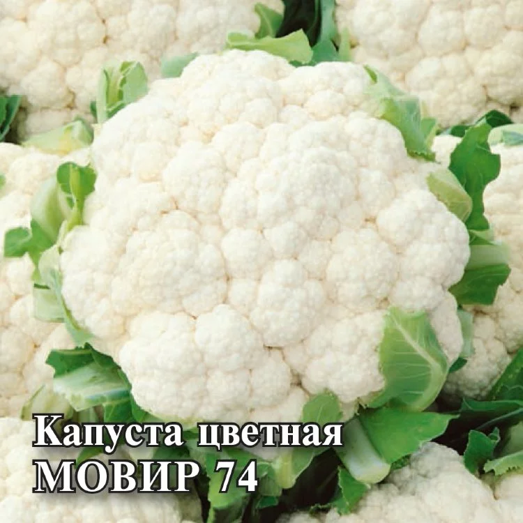Капуста цветная Мовир 74 0,1 г с евроотв