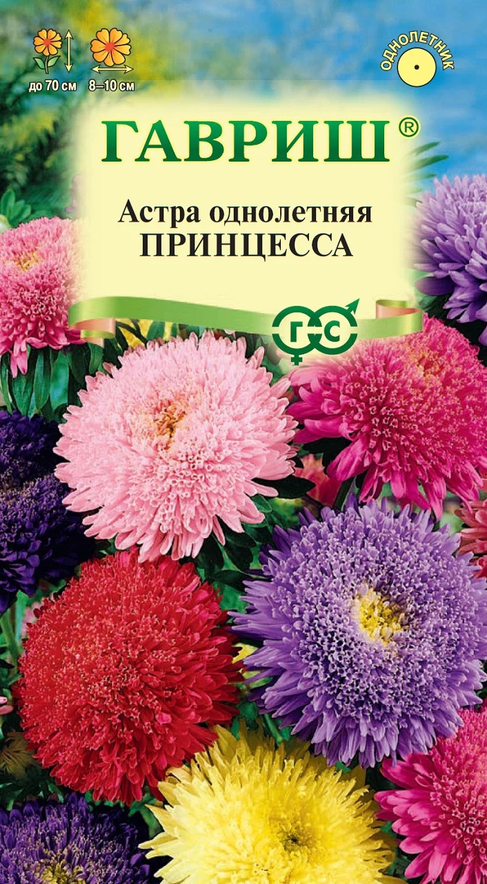 Астра Принцесса, однолетняя (смесь) 0,2 г ХИТ х3 DH