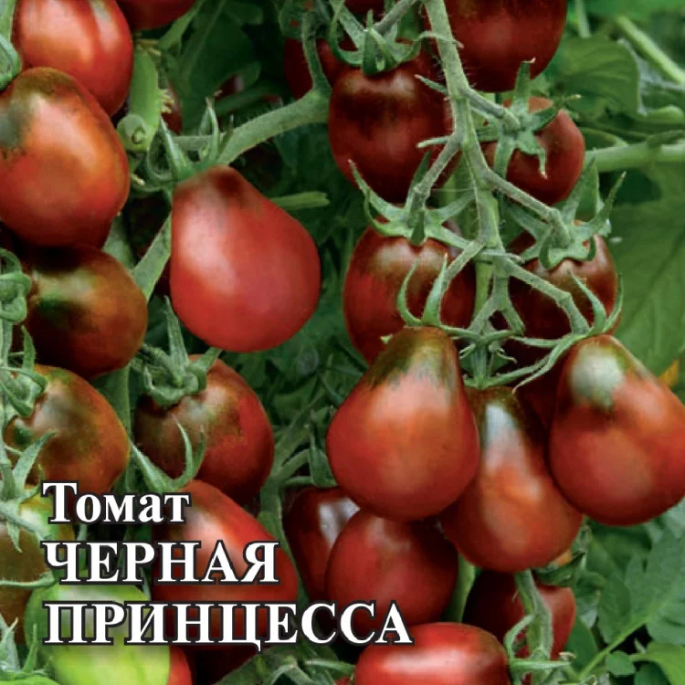 Томат Черная Принцесса 0,1 г