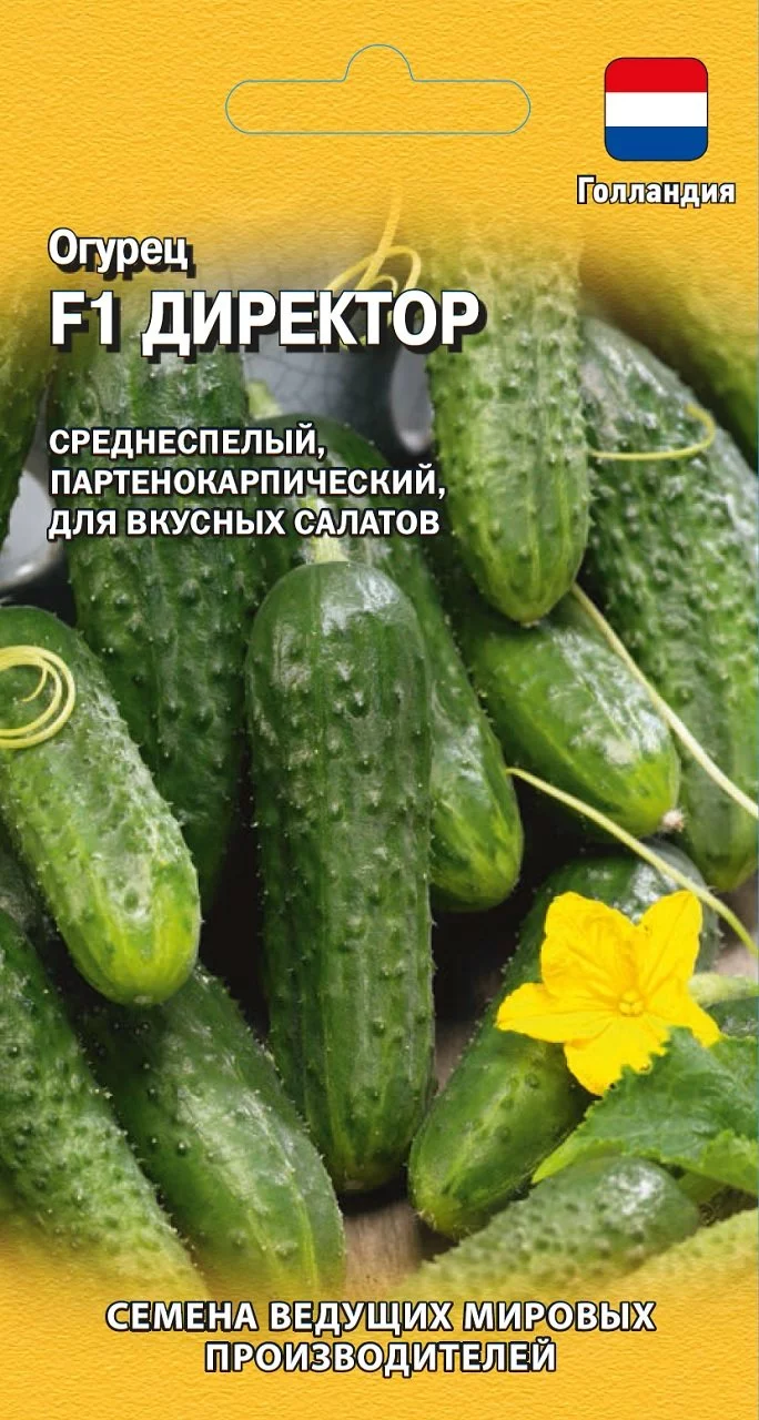 Огурец Директор F1 5 шт