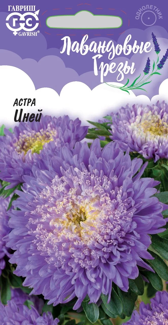 Астра Иней 0,3 г, серия Лавандовые грезы