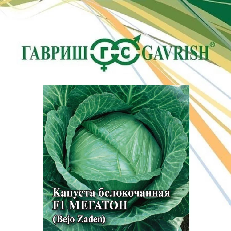 Капуста белокоч. Мегатон F1 100 шт для квашения