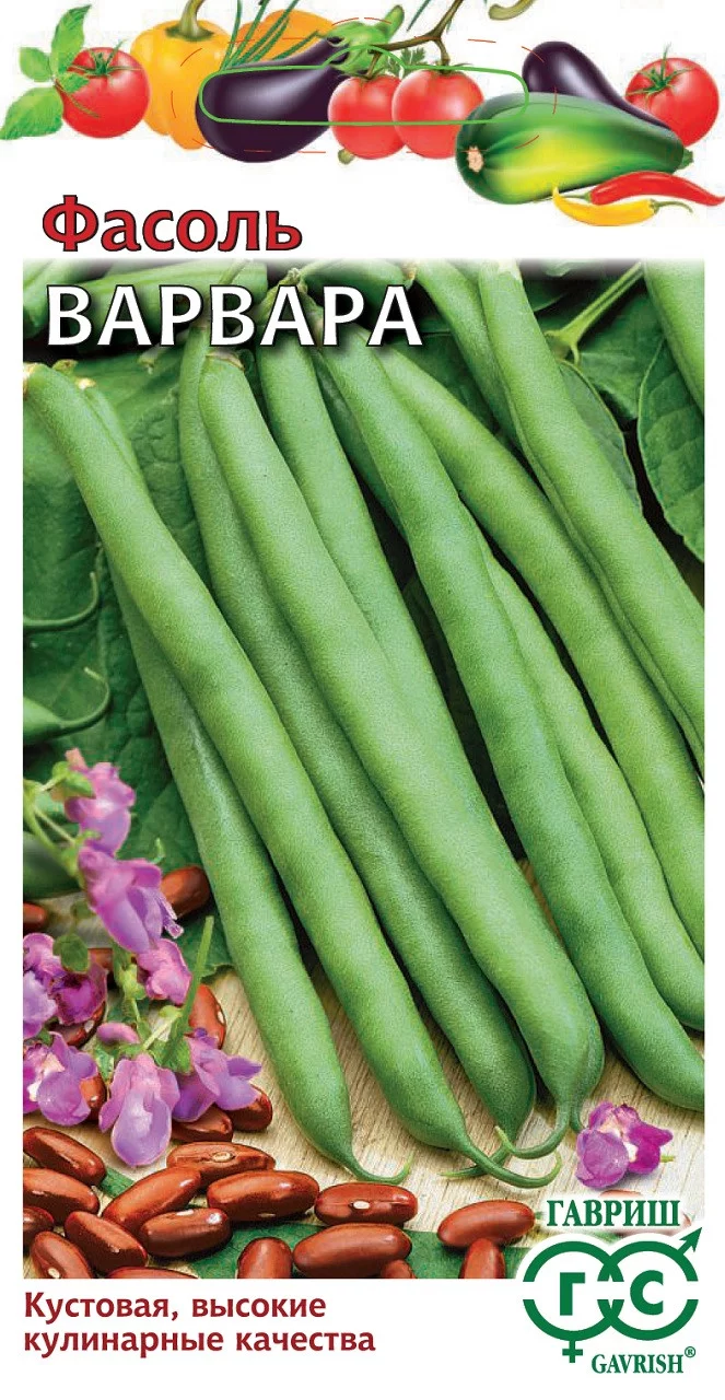 Фасоль Варвара, кустовая, зеленая, 5 г