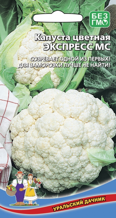 Капуста цветная Экспресс МС