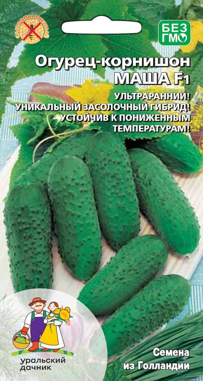 Огурец Маша - корнишон F1