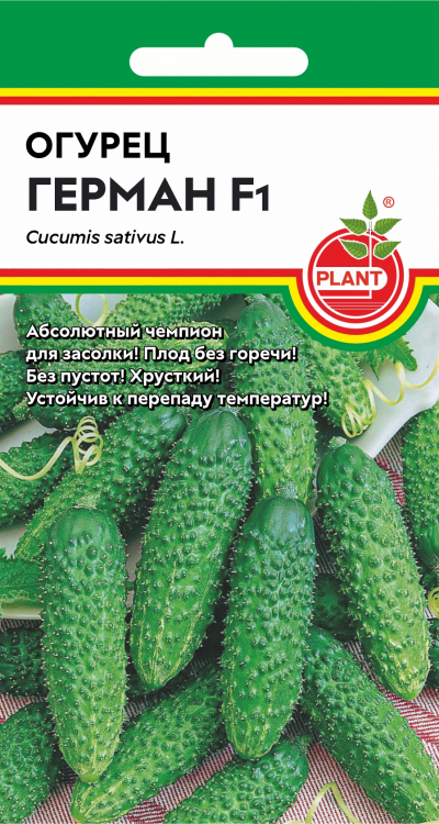 Огурец Герман F1