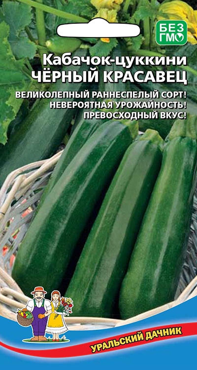 Кабачок Чёрный красавец
