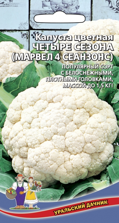 Капуста цветная Четыре сезона (Марвел 4 Сеазонс)