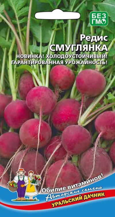 Редис Смуглянка