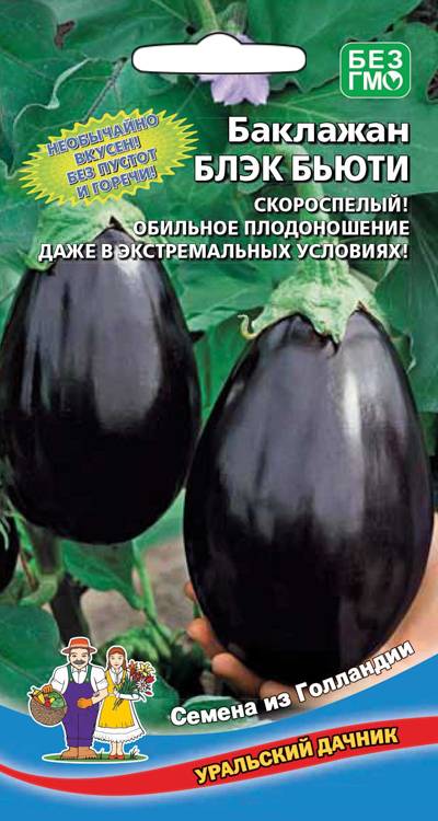 Баклажан Блэк Бьюти (Скороспелый, грушевидный, обильно плодоносит даже в экстремальных условиях