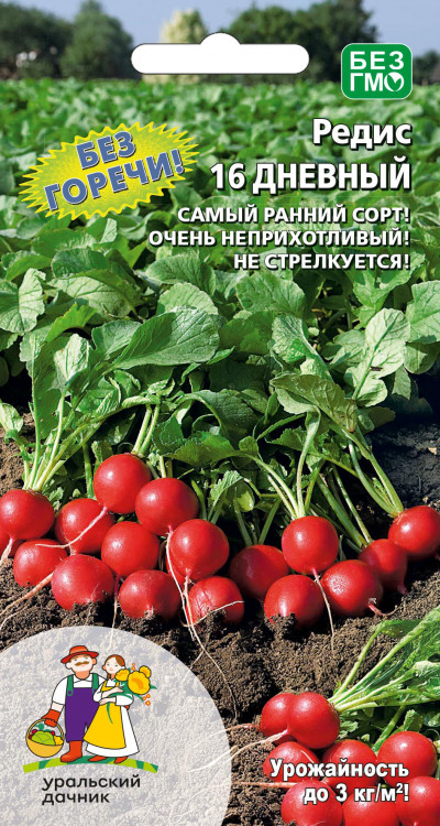 Редис 16 дневный