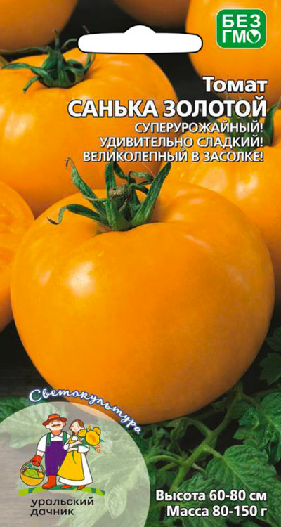 Томат Санька золотой