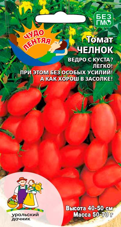 Томат Челнок