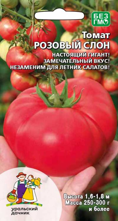 Томат Розовый слон