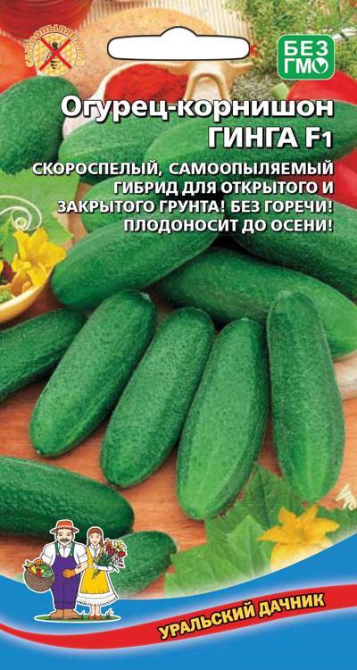 Огурец Гинга F1