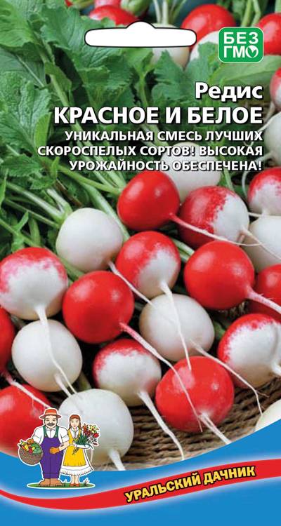 Редис Красное и белое