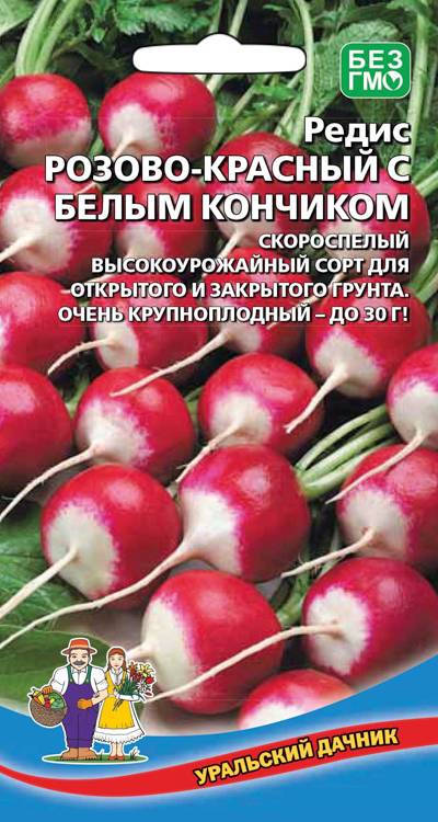 Редис Розово-красный с белым кончиком
