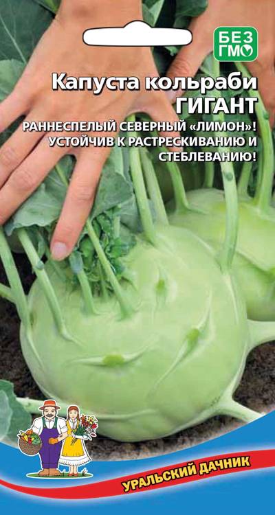 Капуста кольраби Гигант