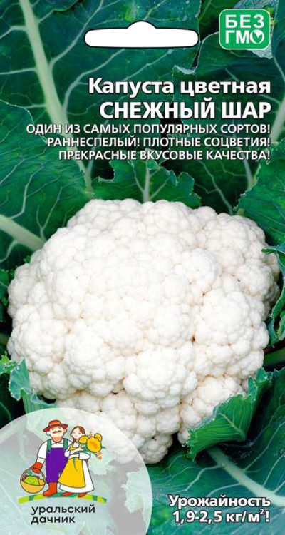 Капуста цветная Снежный шар