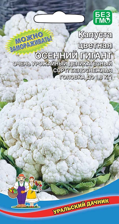 Капуста цветная Осенний Гигант