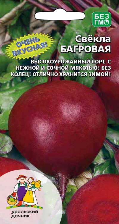 Свекла Багровая