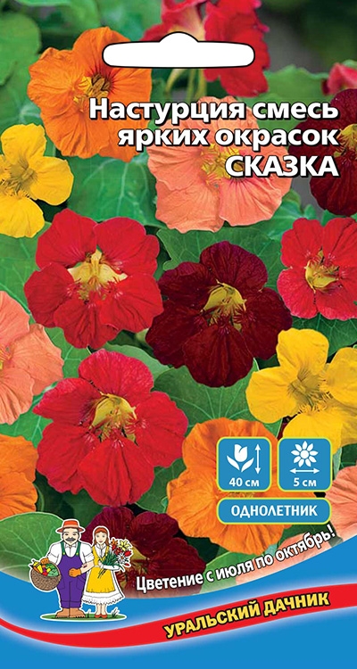 Настурция Сказка смесь ярких окрасок (40 см, цветение с июня по сентябрь)