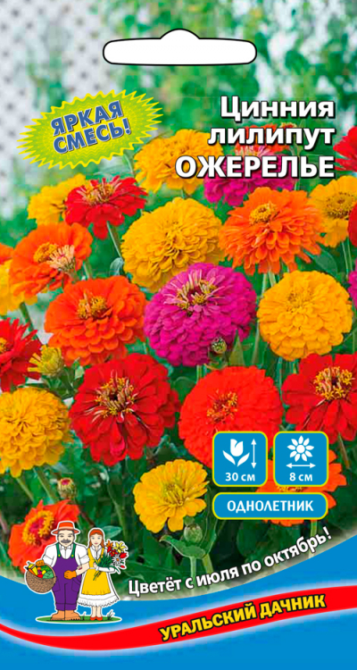 Цинния лилипут Ожерелье