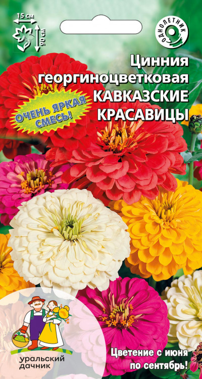 Цинния георгиноцветковая Кавказские красавицы