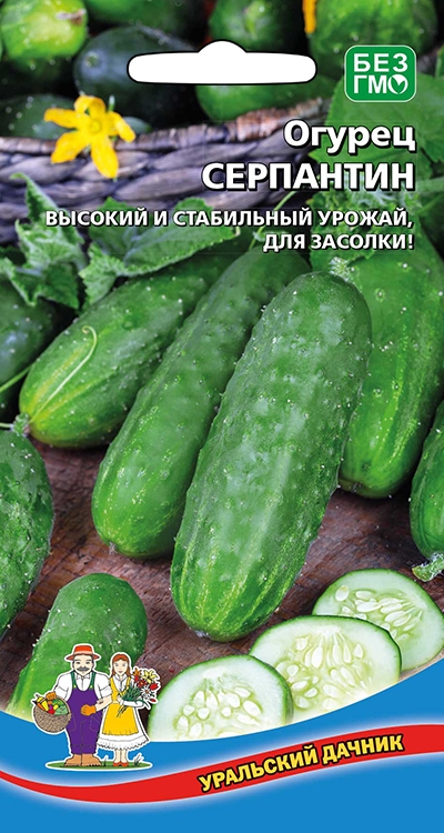 Огурец Серпантин
