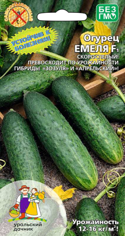 Огурец Емеля F1