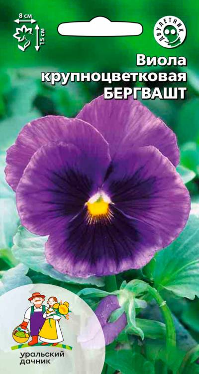 Виола Бегрвашт - крупноцветковая
