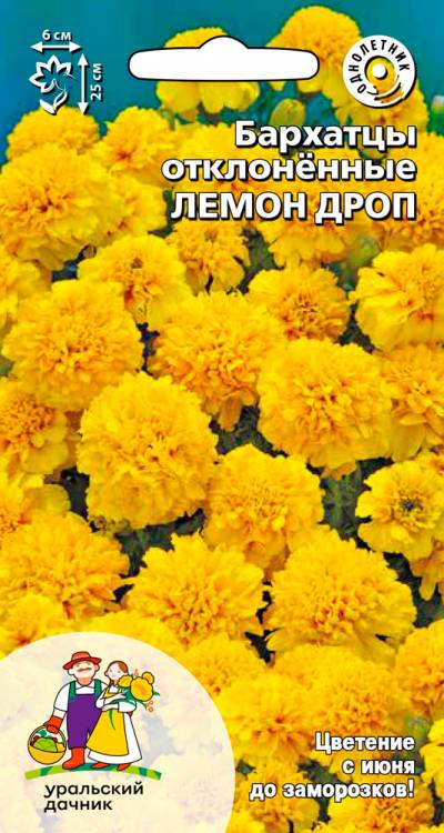 Бархатцы отклоненные Лемон дроп
